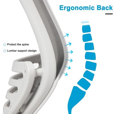 Direct Mesh kantoorstoel met ergonomisch ontwerp, arm- en middelsteun met hoogteverstelbaarheid